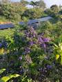 1270 Piihana Rd - Photo 15