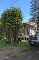 230 Gay St - Photo 1