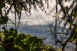 2181 Iliili Rd - Photo 40