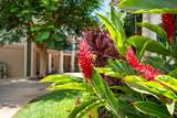 44 Kanani Rd - Photo 34