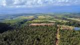  Mauka Of Honolua Ditch - Photo 1