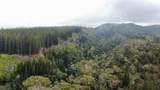  Mauka Of Honolua Ditch - Photo 26