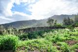 141 Laikeha Pl - Photo 7