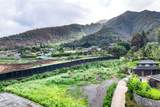 141 Laikeha Pl - Photo 8