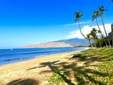 145 Kihei Rd - Photo 28