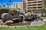 145 Kihei Rd - Photo 43