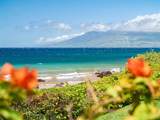 4850 Makena Alanui Rd - Photo 9