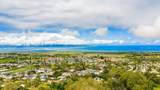 1088 Mamalu Pl - Photo 47