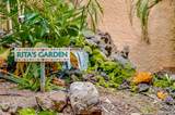2191 Kihei Rd - Photo 38