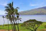 938 Kihei Rd - Photo 14