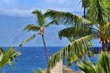 3445 Lower Honoapiilani Rd - Photo 1
