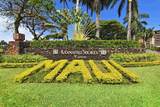 3445 Lower Honoapiilani Rd - Photo 43