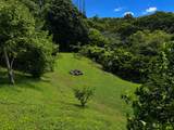 3127 Ua Noe Pl - Photo 44