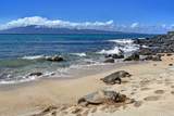 3959 Lower Honoapiilani Rd - Photo 20