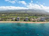2481 Kaanapali Pkwy - Photo 42