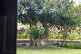 3445 Lower Honoapiilani Rd - Photo 22