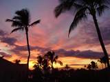 2695 Kihei Rd - Photo 46