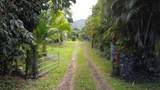 315 Uwala Rd - Photo 3