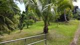 315 Uwala Rd - Photo 4