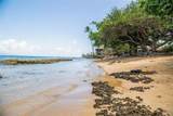 3676 Lower Honoapiilani Rd - Photo 5