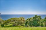 46142 Hana Hwy Hwy - Photo 43
