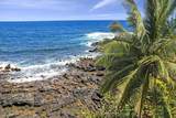  Keanae Rd - Photo 20