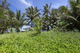  Keanae Rd - Photo 26