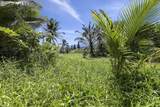  Keanae Rd - Photo 27