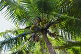 Keanae Rd - Photo 33