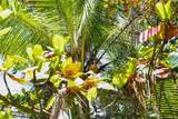  Keanae Rd - Photo 35