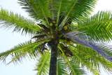  Keanae Rd - Photo 37