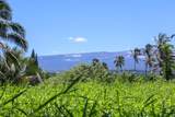  Keanae Rd - Photo 38