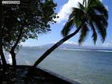 4435 Lower Honoapiilani - Photo 14