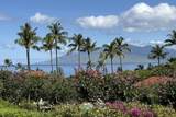4000 Wailea Alanui Dr - Photo 7