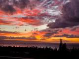 500 Kapalua Dr - Photo 42