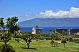 175 Ulukoa Pl - Photo 46