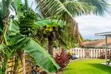 624 Alihilani St - Photo 27