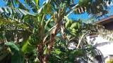 3666 Lower Honoapiilani Rd - Photo 30