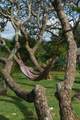 74 Wailani St - Photo 33