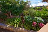 3450 Malina Pl - Photo 44