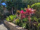 3450 Malina Pl - Photo 47