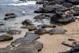 4025 Lower Honoapiilani Rd - Photo 37