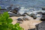 4025 Lower Honoapiilani Rd - Photo 39