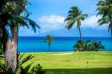 4025 Lower Honoapiilani Rd - Photo 9