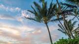 938 Kihei Rd - Photo 22