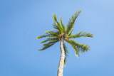 938 Kihei Rd - Photo 23