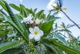 938 Kihei Rd - Photo 40