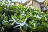 938 Kihei Rd - Photo 41