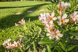 938 Kihei Rd - Photo 42