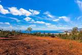0 Haleakala Hwy - Photo 8